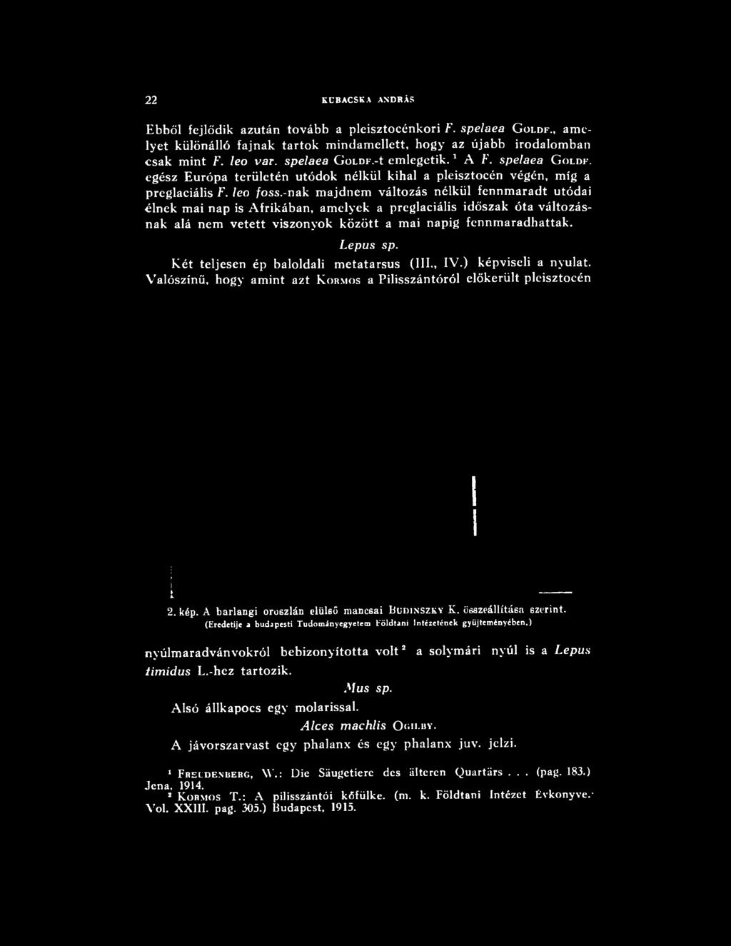 összeállítása szerint. (Eredetije a budapesti Tudományegyetem földtani Intézetének gyűjteményében.) nyúlmaradvánvokról bebizonyította v o lt2 a solymári nyúl is a Lepus timidus L.-hez tartozik.