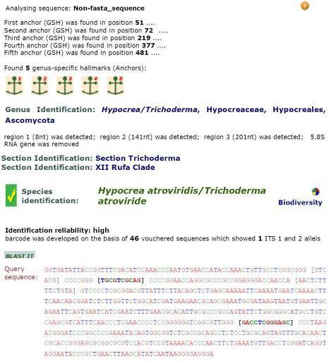 Izolálás talajból, fajszintű azonosítás