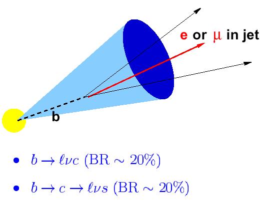 A b-kvark azonosítása Több lépésben bomlik: b W c; c W d; W lν vagy qq hosszú élettartam másodlagos vertex,