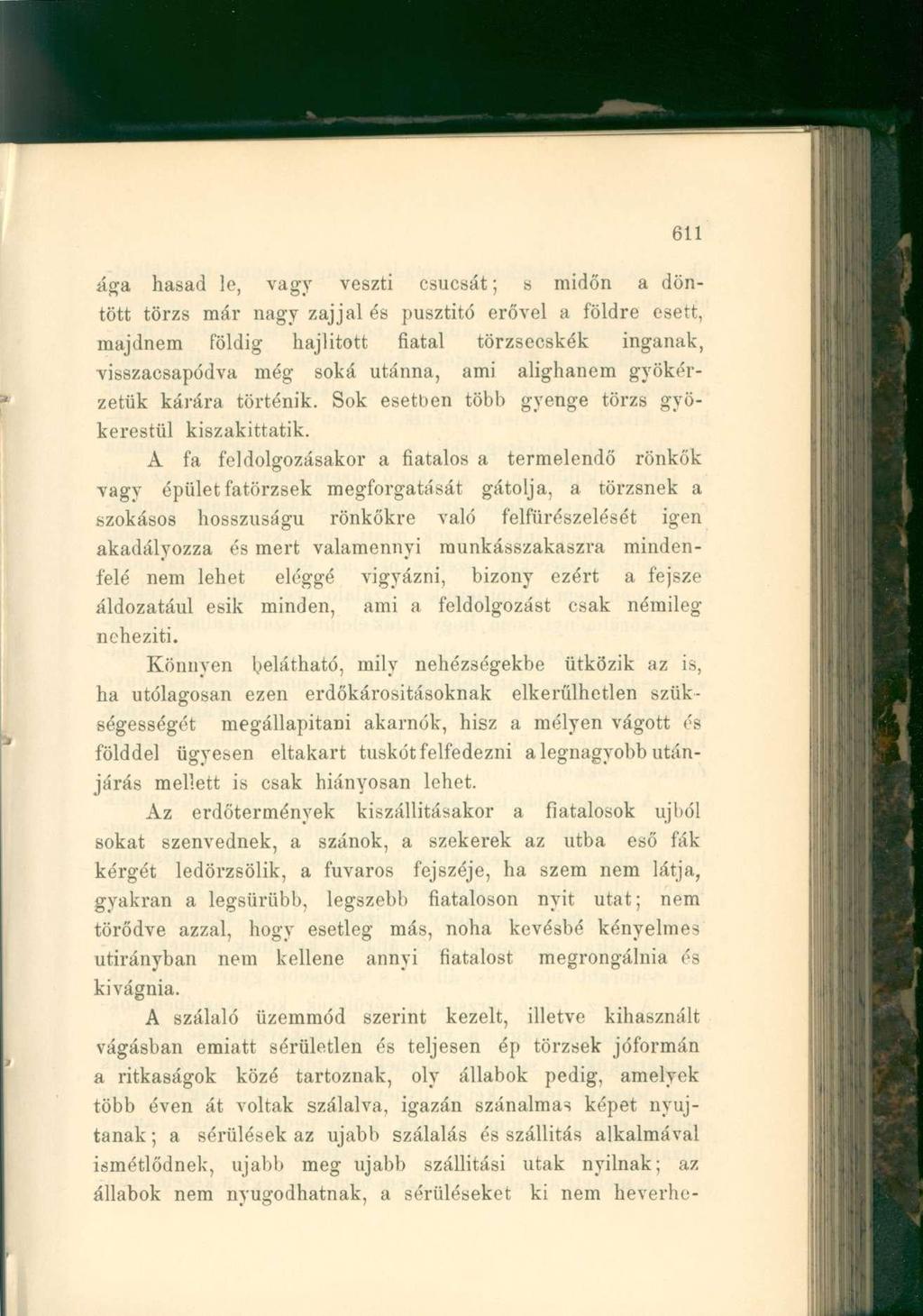 ága hasad le, vagy veszti csúcsát; s midőn a döntött törzs már nagy zajjal és pusztító erővel a földre esett, majdnem földig hajlított fiatal törzsecskék ingának, visszacsapódva még soká utánna, ami