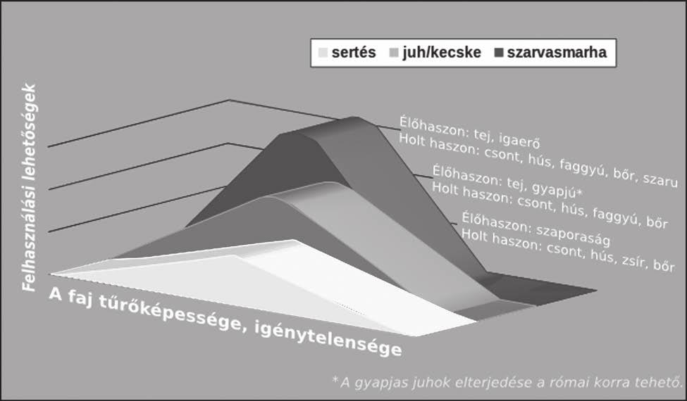 POLGÁR-CSŐSZHALOM NEOLITIKUS TELEPÜLÉS ÁLLATCSONTANYAGA 11 3. kép. A főbb gazdasági haszonállatfajok hasznosítási lehetőségei a tűrőképesség függvényében Fig. 3. Exploitation possibilities of the main domestic species in the mirror of their tolerance így a 916.