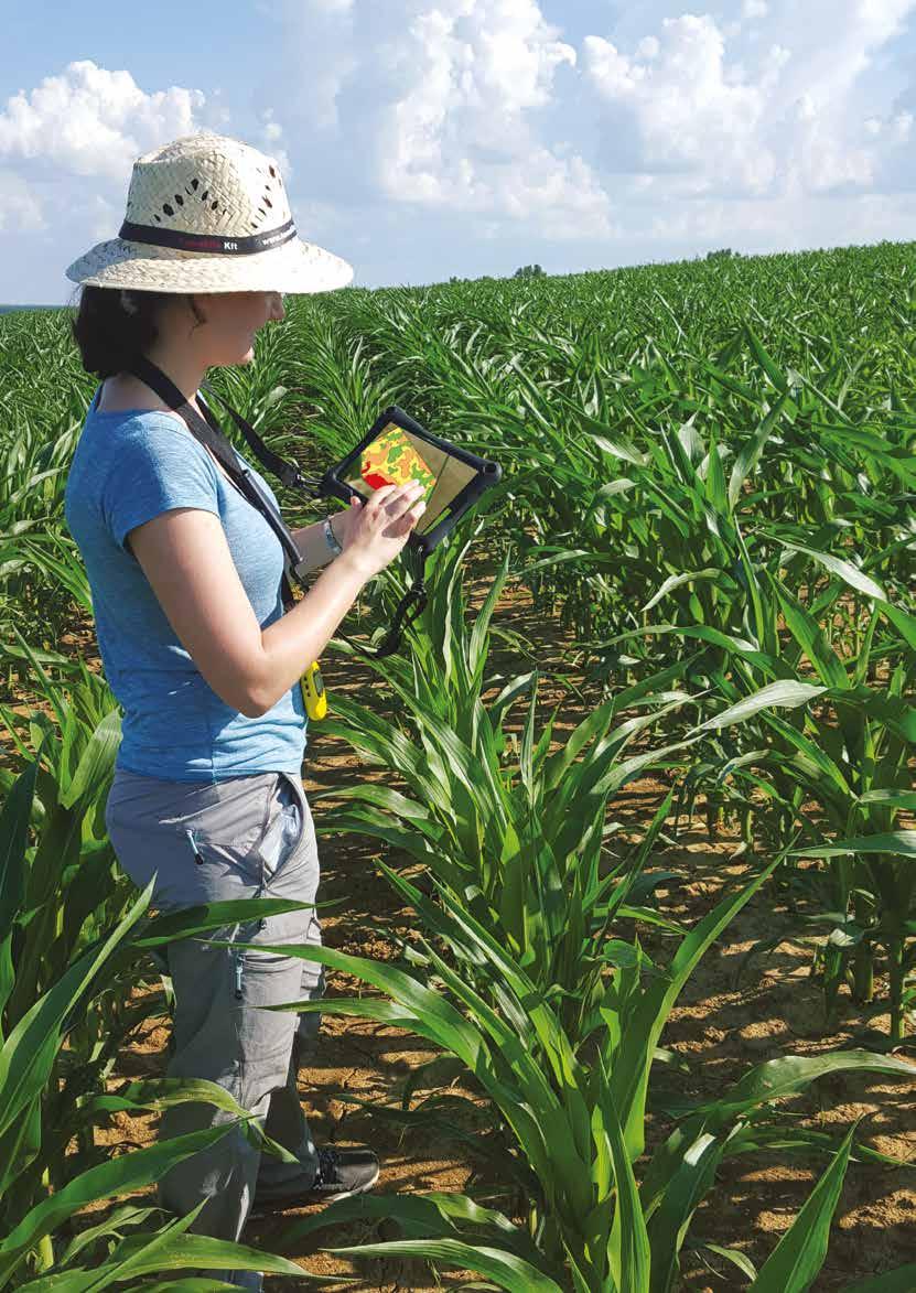 EASY VR DIFFERENCIÁLT TŐSZÁMÚ VETÉS EGYSZERŰEN A kukorica termesztés során a tőszám helyes meghatározása agronómiai és gazdasági jelentőséggel bír.