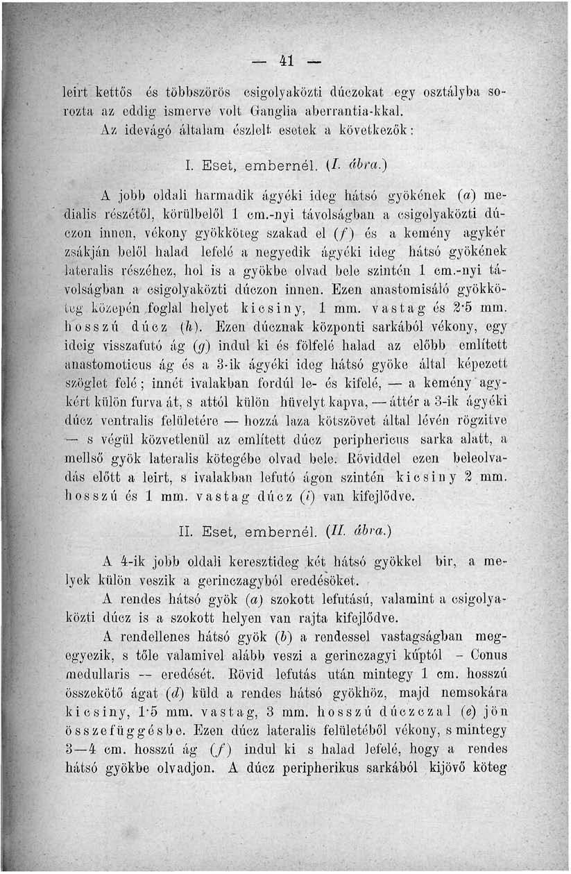 _ 41 leirt kettős és többszörös csigolyaközti dúczokat egy osztályba sorozta az eddig ismerve volt Ganglia aberrantia-kkal. Az idevágó általam észlelt esetek a következők: I. Eset, embernél. (/ ábra.