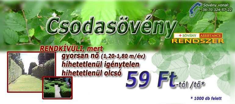 Kezdés 0, 9m Futam/Lauf: Angol agár szuka "A" Dönt 1 Kengyelfutó Sexy Grenács László 0, Kengyelfutó Sunny Buttás Árpád 1, Dopping Bonnie Újvári István és Nemes Tibor 0, 1 7 Perfect Runner Sweety