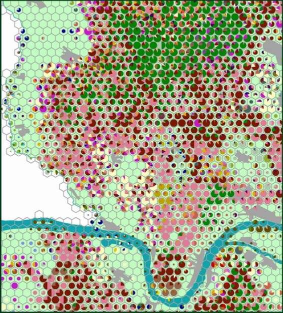 Szerző(k) Neve (Times 11 pnts betűkkel középre igazítva) 1. ábra. A 35 hektárs MÉTA hatszögekben előfrduló élőhelyek, kiterjedésükkel aránys kördiagrammkkal jól ábrázlhatók.