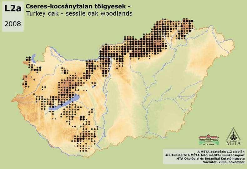 Szerző(k) Neve (Times 11 pnts betűkkel középre igazítva) usually rich in halphytic species, but d nt, r rarely cntain less steppe and wet meadw species.