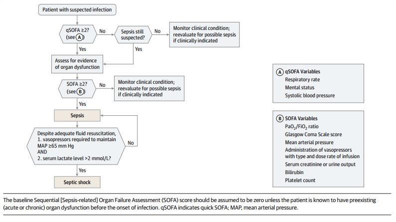 q-sofa és SOFA rendszerek klinikai algoritmusa (Seymour et al.