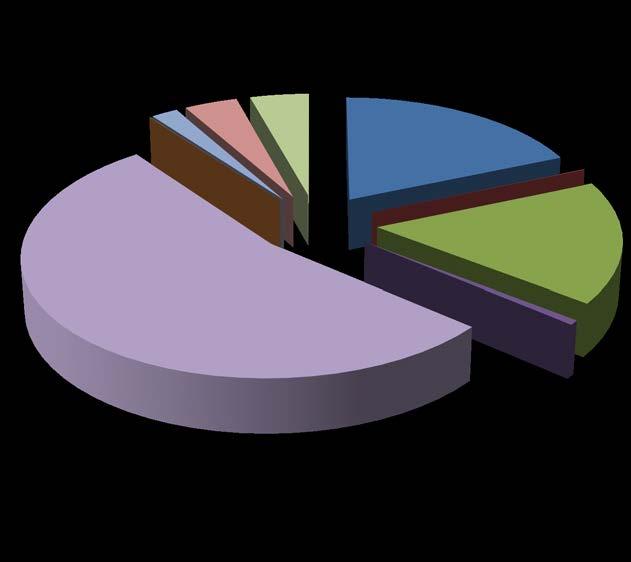 Helyi adó bevétel összetétele %-ban Építményadó 0,03% 1,96% 3,92% 4,34% 18,64% 0,05% Telekadó Magánszemélyek kommunális adója 16,76% Idegenforgalmi adó tart.