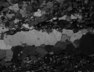 a Hình 7. Ảnh lát mỏng đá granit biotit hạt thô, ảnh chụp dưới nicol ; độ phóng đại 00 lần (Mẫu V4) Hình 8.