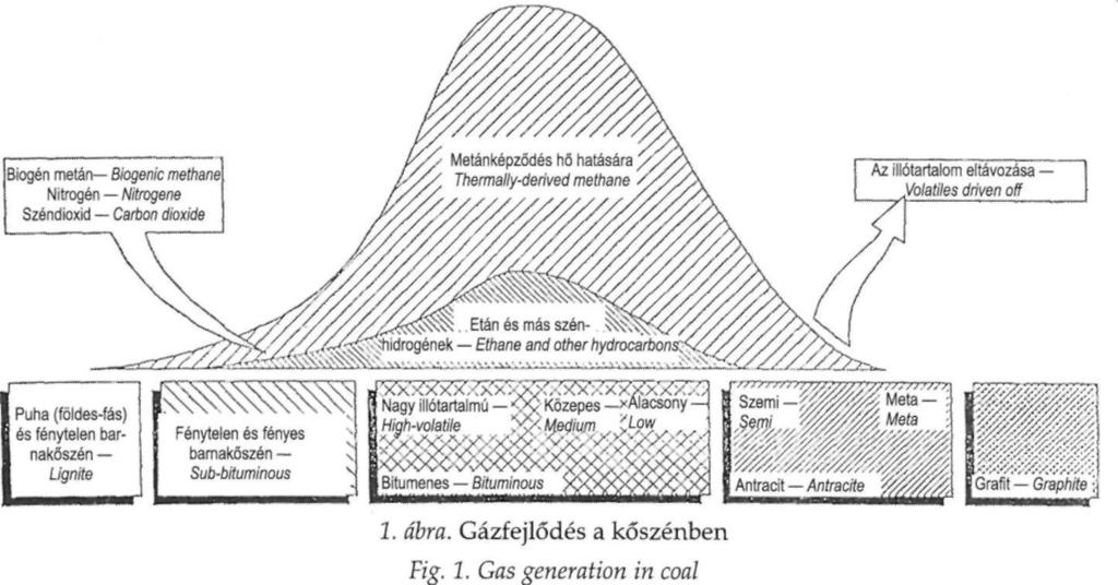 A szén sok esetben jobb metán rezervoár, mint egy porózus homokkő, vagy valamilyen repedezett mészkő. A metán a szén repedéseiben és makropórusaiban szabad gáz formájában fordul elő.