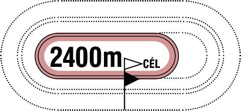 ÜGET 2018.12.08 III. FUTAM 15:00 (389) Pálya: 10 - Kincsem Park A futam neve: PIKOLÓ HENDIKEP Autóstart!