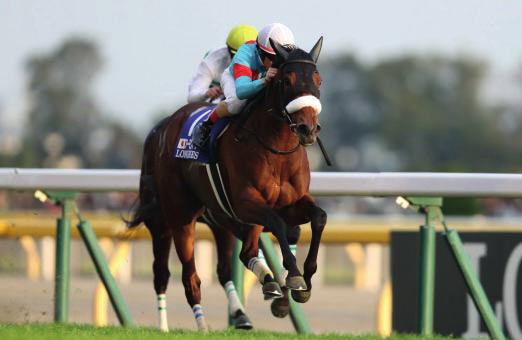 GALOPP ROVAT Almond Eye gy zelme a Japan Cupban Pályarekord! Irány az Arc de Triomphe! Kivételes képesség klasszis lovat, egy igazi sztárt ünnepel a felkel nap országában több millió turfrajongó.