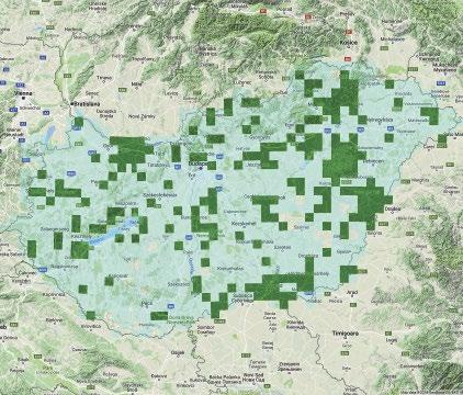 ábra: Kis sólymok (Falco columbarius) gyűrűzési helyei Magyarországon 1932 2017 (forrás: MME Madárgyűrűzési Központ) / Ringing locations of Merlins in Hungary 1932 2017 (source: BirdLife Hungary Bird