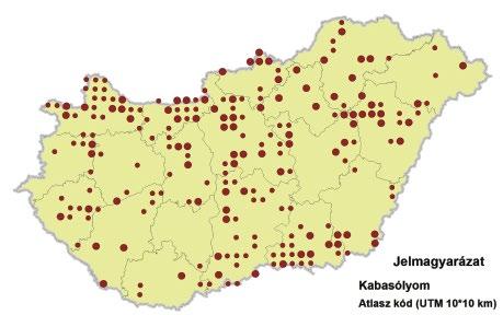 4. ábra: A kabasólyom (Falco subbuteo) magyarországi elterjedése 2014 2018 között / Distribution of Eurasian Hobby in Hungary between 2014 and 2018 Atlasz kód (UTM 10 10 km) Valószínű fészkelés /