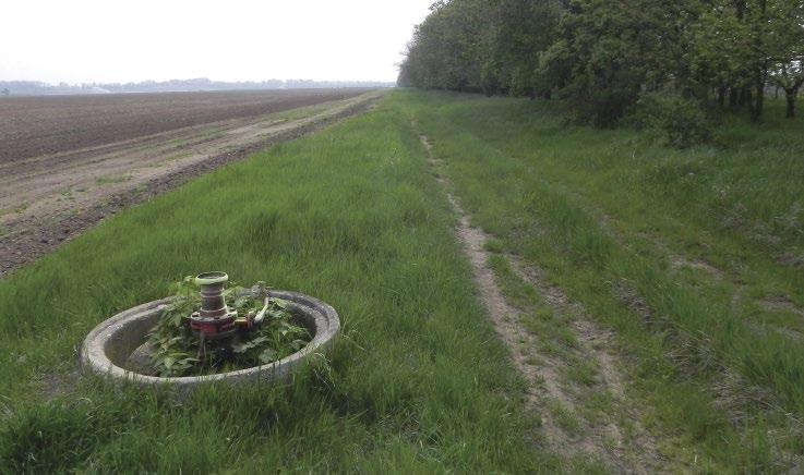 Figure 8: A windbreak with a Saker Falcon (Falco cherrug) nest and one of three concrete cylinders used for food caching by a breeding pair (Hrádek, Znojmo district, 1st May 2013) (photo: V.