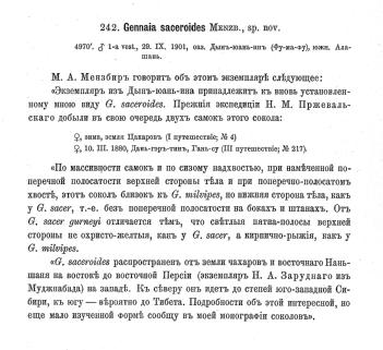 1. ábra: A saceroides taxon eredeti leírása / The original description of saceroides (Keve 1955).