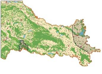 Status of Saker Falcon (Falco cherrug) in Croatia Mikuska Tibor* & Ivan Darko Grlica** *Croatian Society for Birds and Nature Protection Gunduli eva 19a, HR 31000 Osijek, Croatia E-mail: tibor.