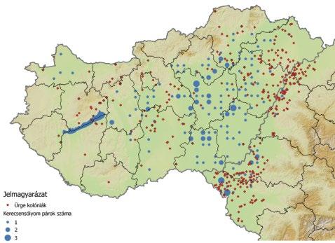 colonies identified from 1964 onward, and 95% CI are shown 7.