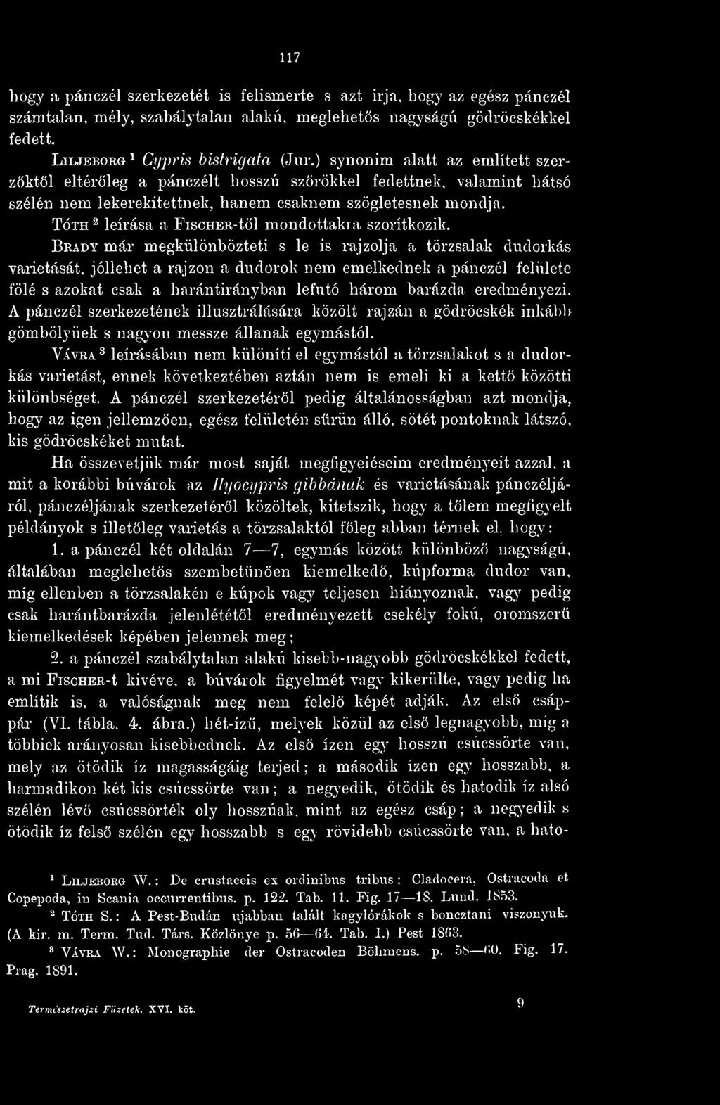 Tóth 2 leírása a FiscHER-tl mondottakra szorítkozik.
