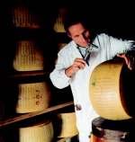 Parmigiano Reggiano, PDO Fotó: Resmini mit takar a termék leírása? A termék leírásába beletartoznak: fizikai tulajdonságok (alak, szín, súly stb.