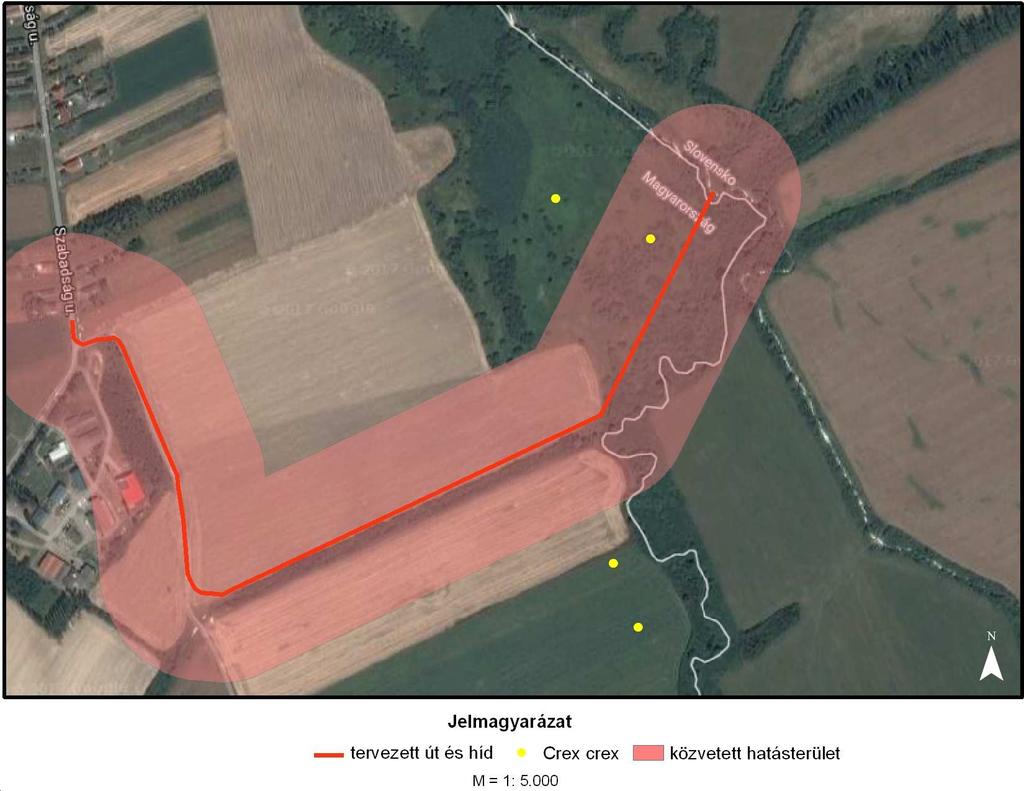 4.2. A Natura 2000 területen megtalálható, a kijelölés alapjául szolgáló fajokra és élőhelyekre gyakorolt hatások bemutatása térképmellékletekkel A beruházás területén a legjelentősebb jelölő faj a