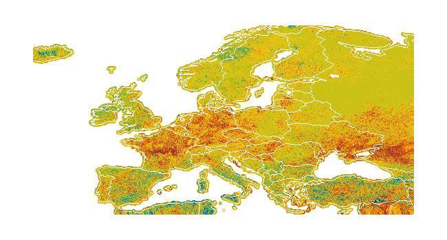 Mezőgazdasági termékek Mezőgazdasági termékek Növényvilág