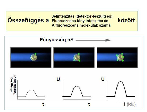 irányuló fényszórás, FSC a