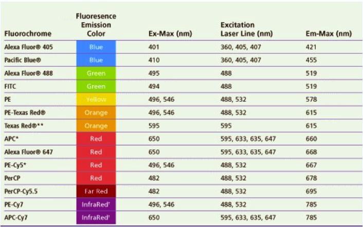 Fluoreszcens festékekkel szemben támaszto] követelmények: Fluoreszcencia kompenzáció Emi]áljanak olyan hullámhosszon, ahol kicsi az autofluoreszcencia FITC PE PE- TR PE- CY5 Az emissziós spektrum a