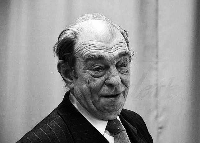 Az ünnep ötletét először Fasang Árpád zongoraművész vetette fel 1985-ben, majd a Hazafias Népfront Országos Tanácsa 1988 december végi ülésén felhívást tett az emléknap megrendezésére. Először 1989.