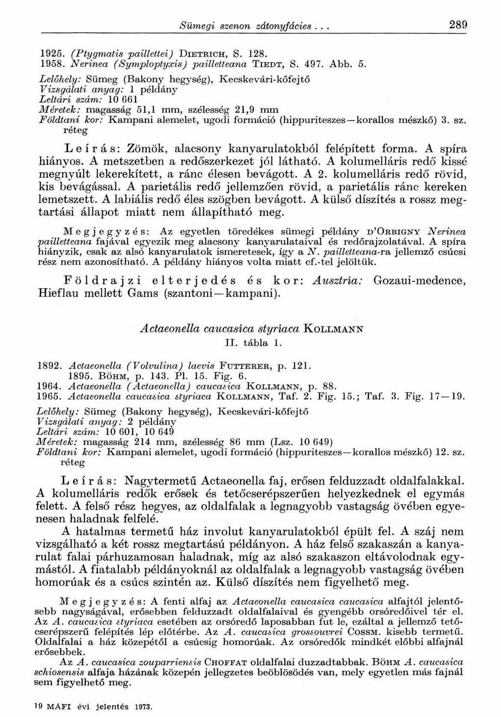 Sümegi szerion zátonyjácies... 2 8 9 1925. (Ptygmatis paillettei) D ie tr ic h, S. 128. 1958. Nerinea (Symploptyxis) pailletteana T ie d t, S. 497. Abb. 5.