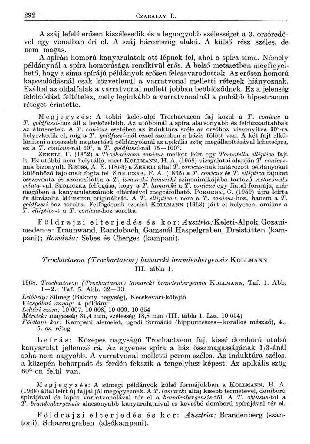 2 9 2 C Z A B A L A Y L. A száj lefelé erősen kiszélesedik és a legnagyobb szélességet a 3. orsóredővel egy vonalban éri el. A száj háromszög alakú. A külső rész széles, de nem magas.