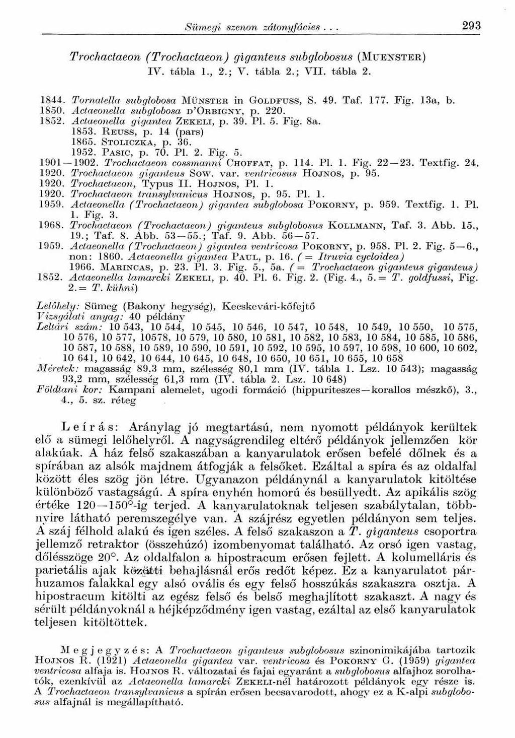 Sümegi szenon zátonyfácies... 2 9 3 Trochactaeon (Trochactaeon) giganteus subglobosus (Mu en ster) IV. tábla 1., 2.; V. tábla 2.; VII. tábla 2. 1844. Tornatella subglobosa Münster in Goldfuss, S. 49.