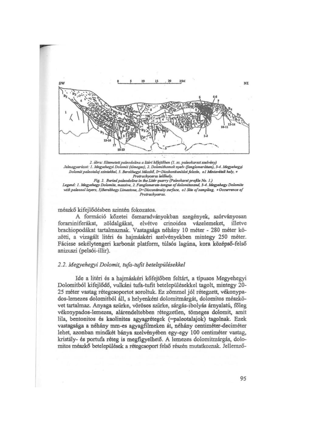 sw S 10 U. 20 1.SM NE 2. ábra: Eltmrtetett paleodolina a litéri kójéjt4ben (1. sz. pakokarm ru/viny) JeillagyarázaJ: l. Megye}tegyi Dolomit (tömega), 2. Dowmillwmolr lr)vlv (fanglo_.íjblm), 34.