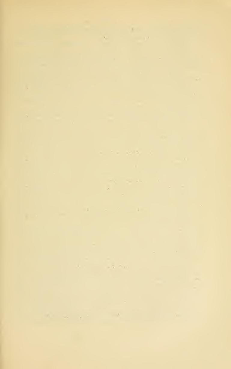 paris apud feminam in apice bisetosus et intus teniiissime hirsutils Diaptomus Roubaid Rich. (Ciudad Eeal) 14. a. Articulus antepenultimus antennae geniculantis apud marem crista longa...._._..... i5.