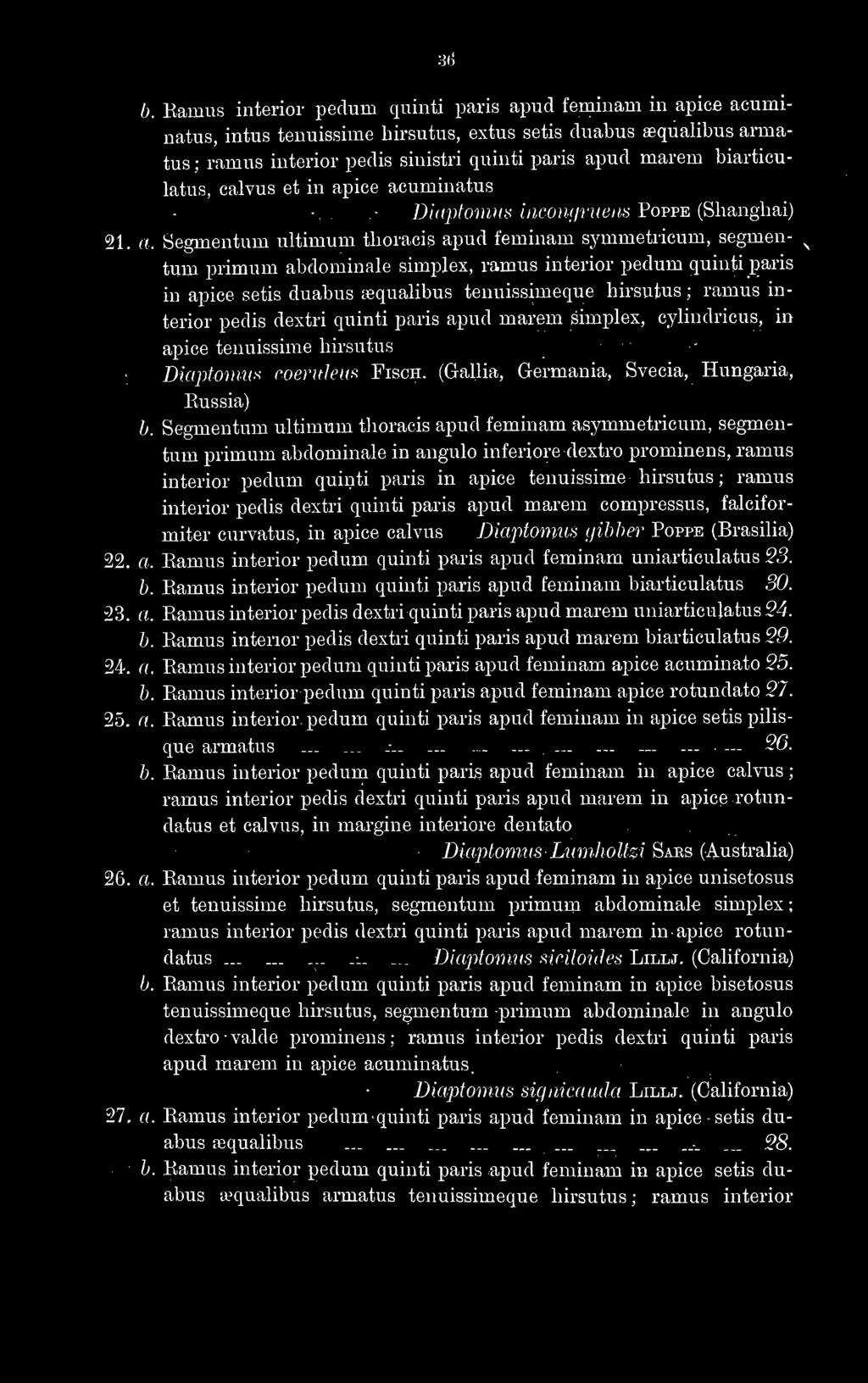 biarticulatus, calvus et in ap