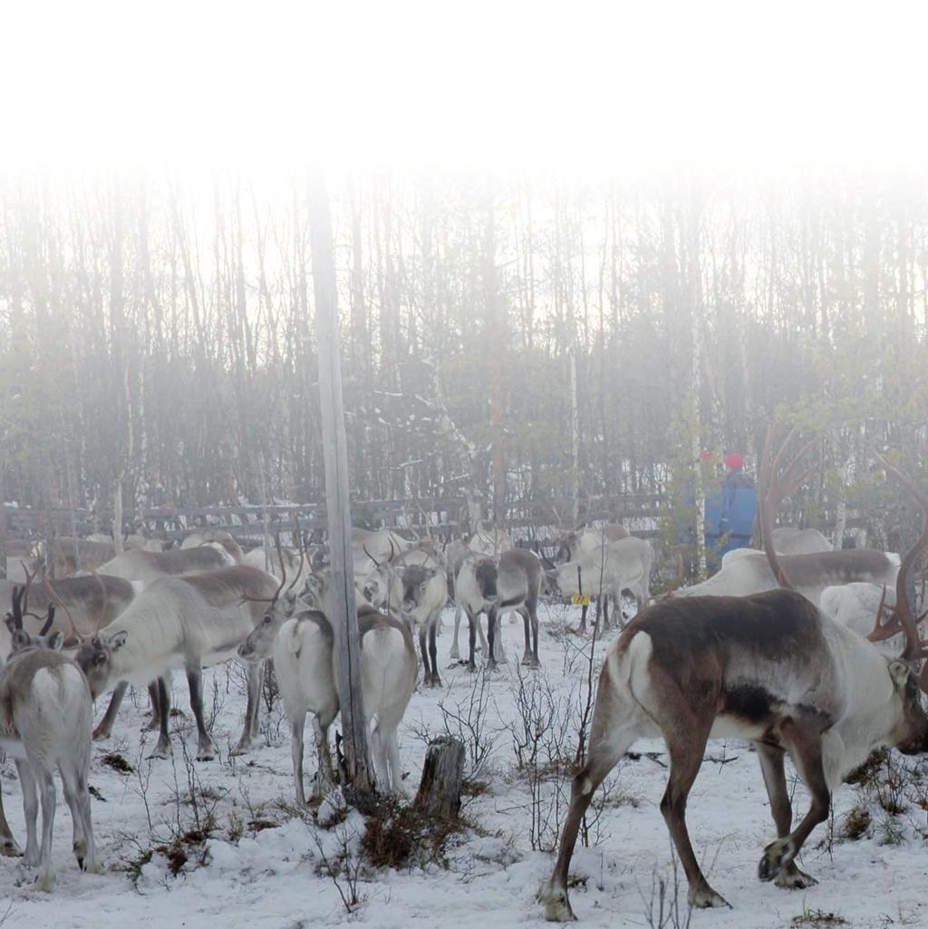 Mela Mela doaibmasuorgi, hálddahus ja ruhtadeapmi leat lágas mearriduvvon. Doaimma dáfus Mela lea goittotge oadjolágádus. Dan hálddahus čohkiida oajuhuvvon olbmuid ja stáhta ovddasteaddjiin.