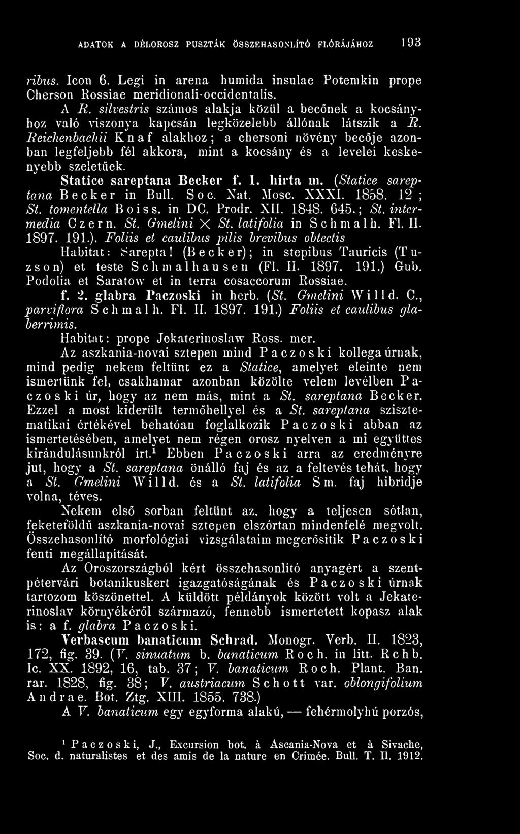 Reichenbachií Knaf alakhoz; a chersoni növény becje azonban legfeljebb fél akkora, mint a kocsány és a levelei keskenyebb szeletek. Statice sareptana Becker f. 1. Iiirta m.