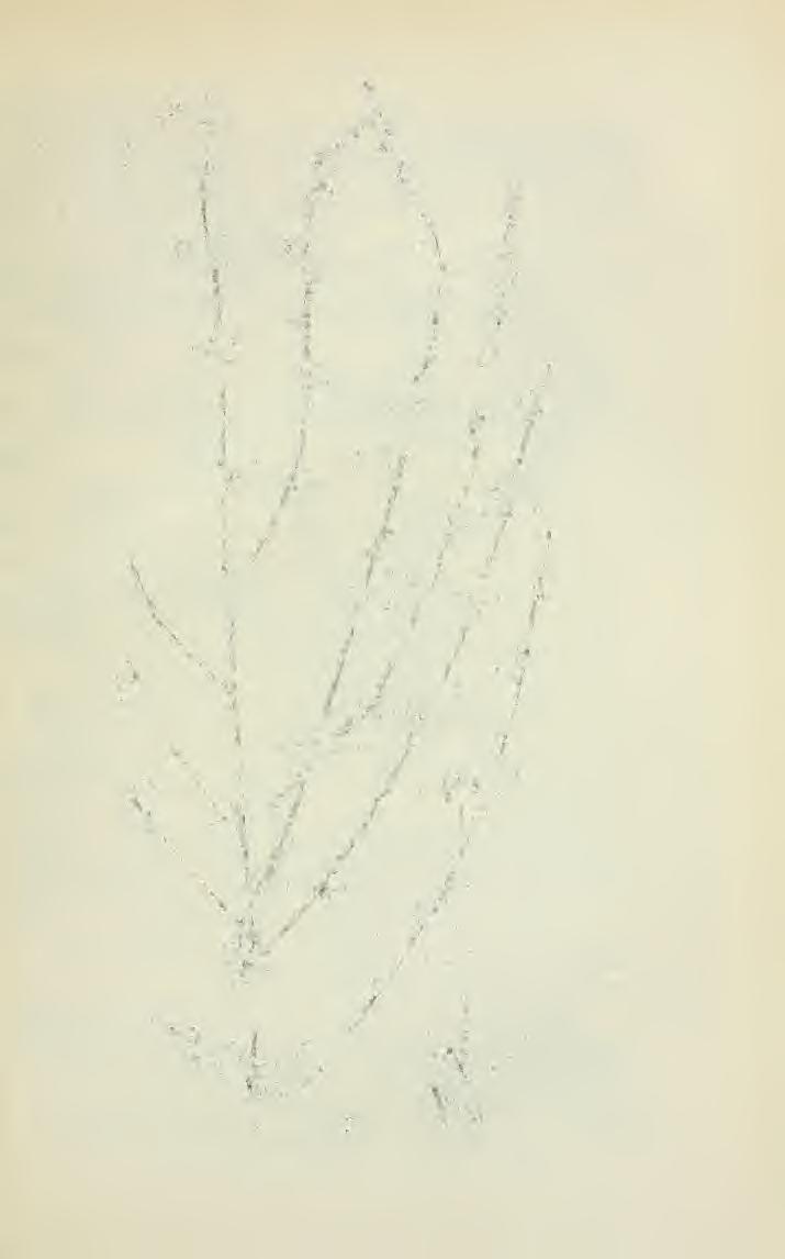 12.
