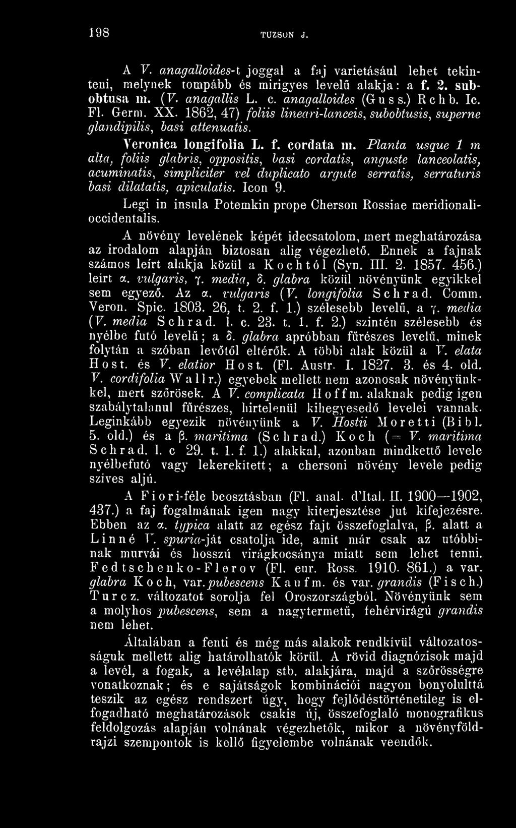 Plánta usque 1 m alta, foliis glabris, oppositis, hasi cordatis, anguste lanceolatis, acuminatis, simpliciter vei duplicato argute serratis, serraturis basi dilatatis, apiculatis. Icon 9.