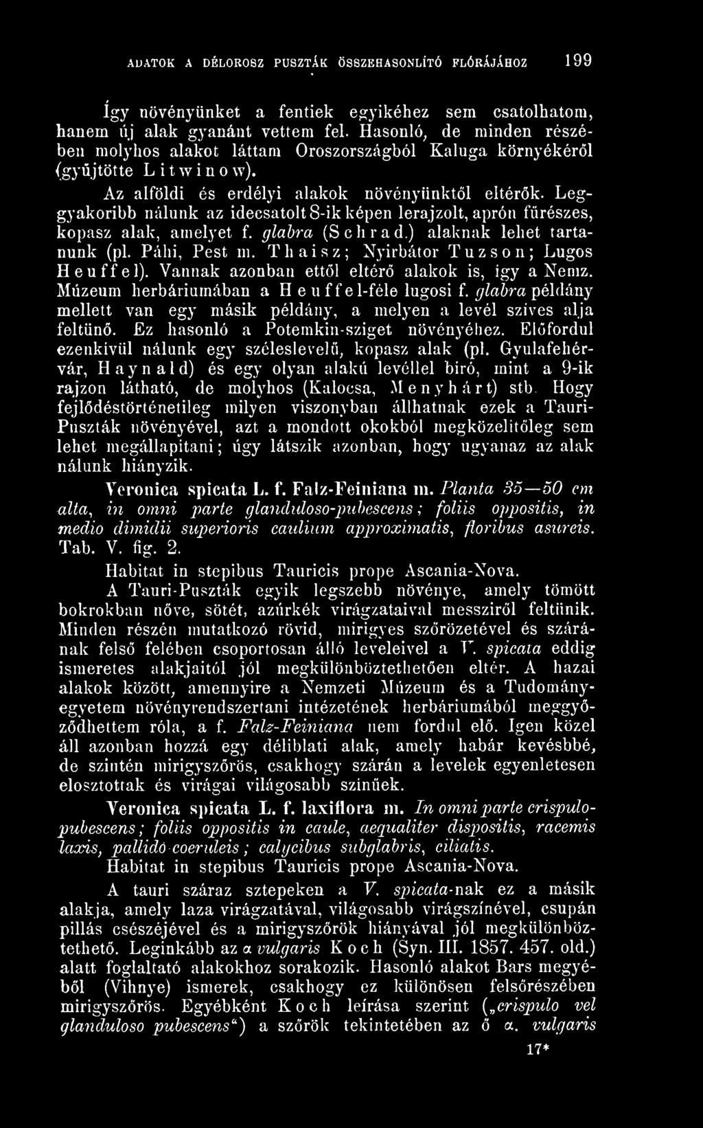 Leggyakoribb nálunk az idecsatolt 8-ik képen lerajzolt, aprón fürészes, kopasz alak, amelyet f. glahra (Schrad.) alaknak lehet tartanunk (pl. Páhi, Pest m. Thaisz; Nyirbátor Tuzson; Lúgos Heuffel).