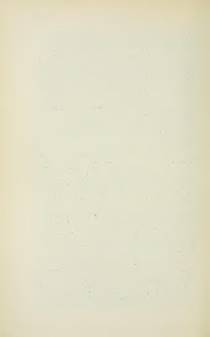 : 200 TÜZ80N J. változatába mindkett beleillenek, az ilyen egyesítést azonban nem tartom célszernek. Scabiosa ucranica L.