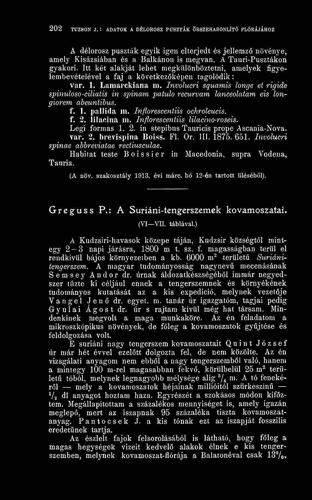 Involucri squamis longe et rigide spinuloso-ciliatis in spinam patulo recurvam laneeolatam eis longiorem abeuntibus. f. 1. paliida m. Inflorescentiis ochroleucis. f. 2. lilacina m.