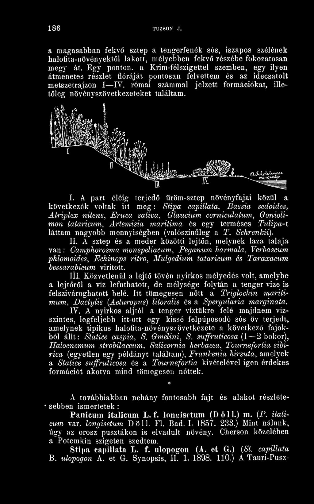 római számmal jelzett formációkat, illetleg növényszövetkezeteket találtam. I.