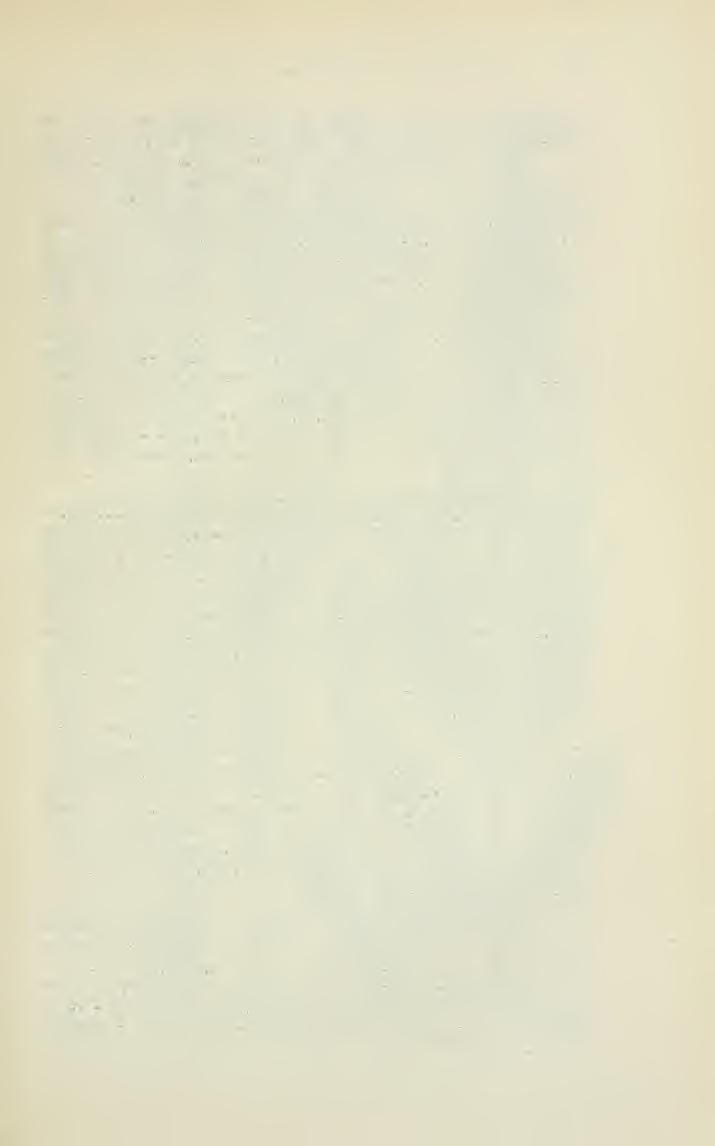 ADATOK A DÉLOROSZ PUSZTÁK ÖSSZEHASONLÍTÓ FLÓRÁJÁHOZ 189 giné denticulis minimis. Varietati caesio (P r e s 1.