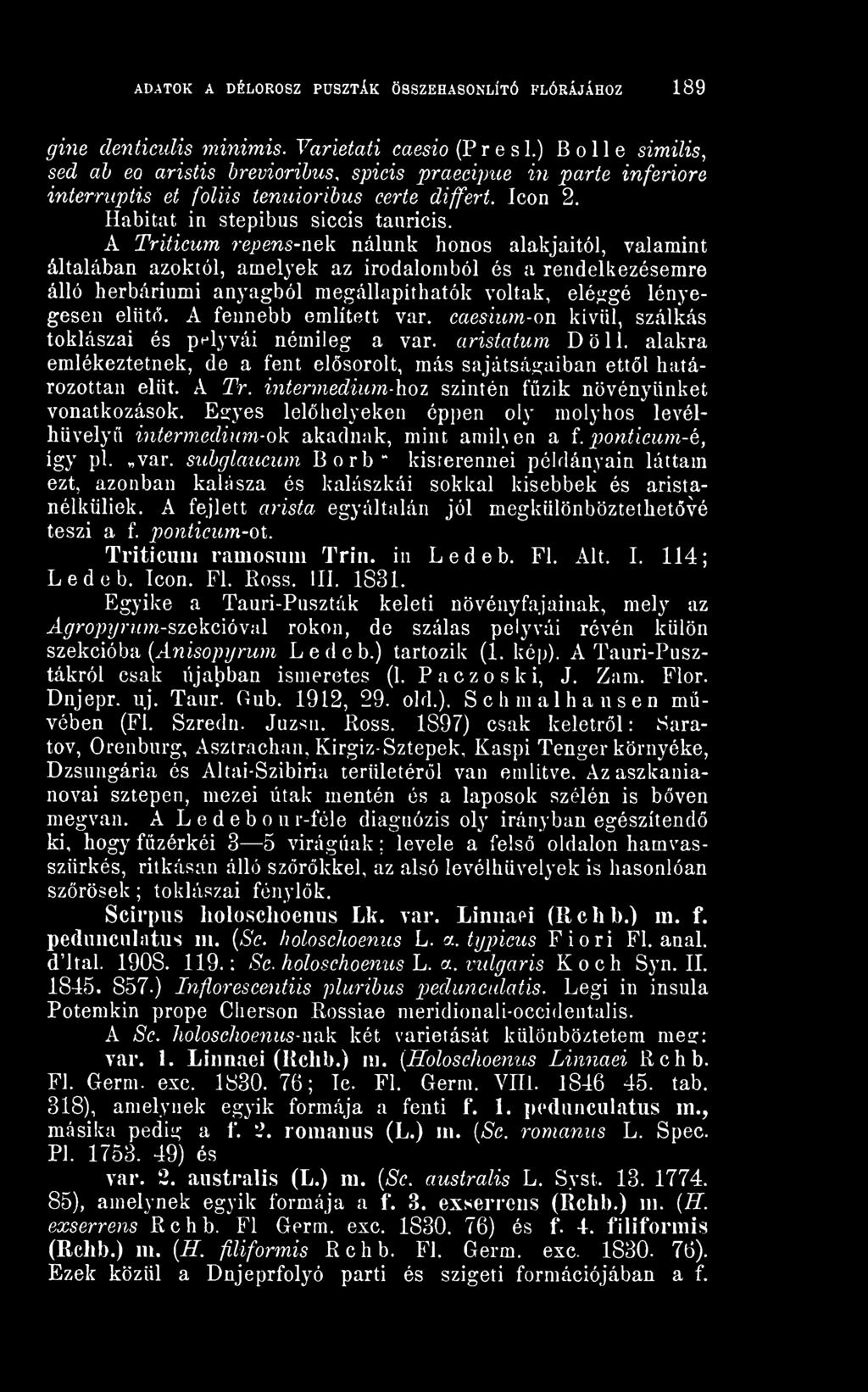 itermediiün-hoz szintén fzik növényünket vonatkozások. Egyes lelhelyeken éppen oly molyhos levélhüvelyü intermedium-ok akadnak, mint amilyen a {. ponticum-é, így pl. ^var.