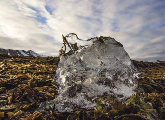 Logiidjagiid ovddos Dál go liegganeapmi juo lea dáhpáhuvvan ja lassin mii vurdojuvvo lassi ruonáviessogássaid suhkodagas atmosfearas de boahtá Árktis vásihit stuorra rievdademiid dán jahkečuođis, dan