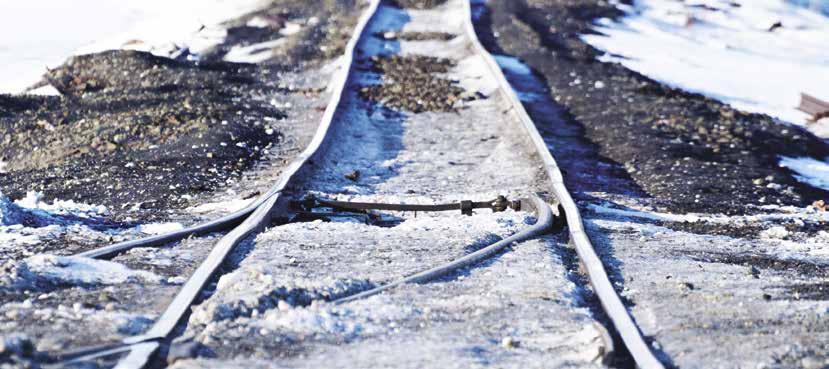 Photo: Nordroden / Shutterstock Makkárat leat čuozahusat? Dain rievdadusain mat leat jođus Árktisis leat viiddes čuozahusat Árktisa ekovuogádagaide ja olbmuide geat barget ja ellet Árktisis.