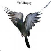 VERSENYKERÜLET ÉSZAK Hu-18-14-4080 Hu-18-14-4083 Hu-18-14-43999 Hu-18-D-379787 Hu-18-D-380189 AIKYU-NO-TOMO Japon JPN-IQ0004 JPN-IQ00046 JPN-IQ00047 JPN-IQ00048 JPN-IQ0008