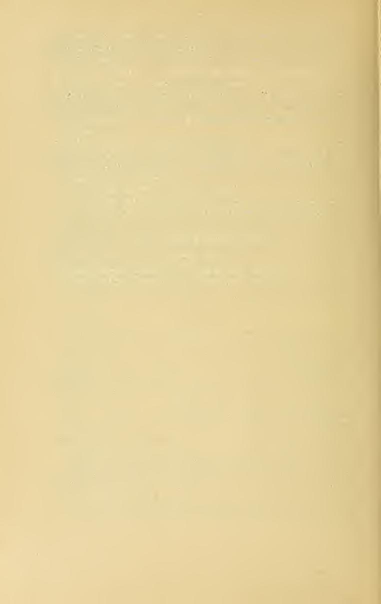 í'2 83/6. M. acerba (Merat) Par. (1812) 187. (M. dasyphyllus Borkh.?) «Szabadka» prope Rimaszombat (!). 83/c. M. domestica Baumg. Emim. IL (1816) 43. colikir. 84.