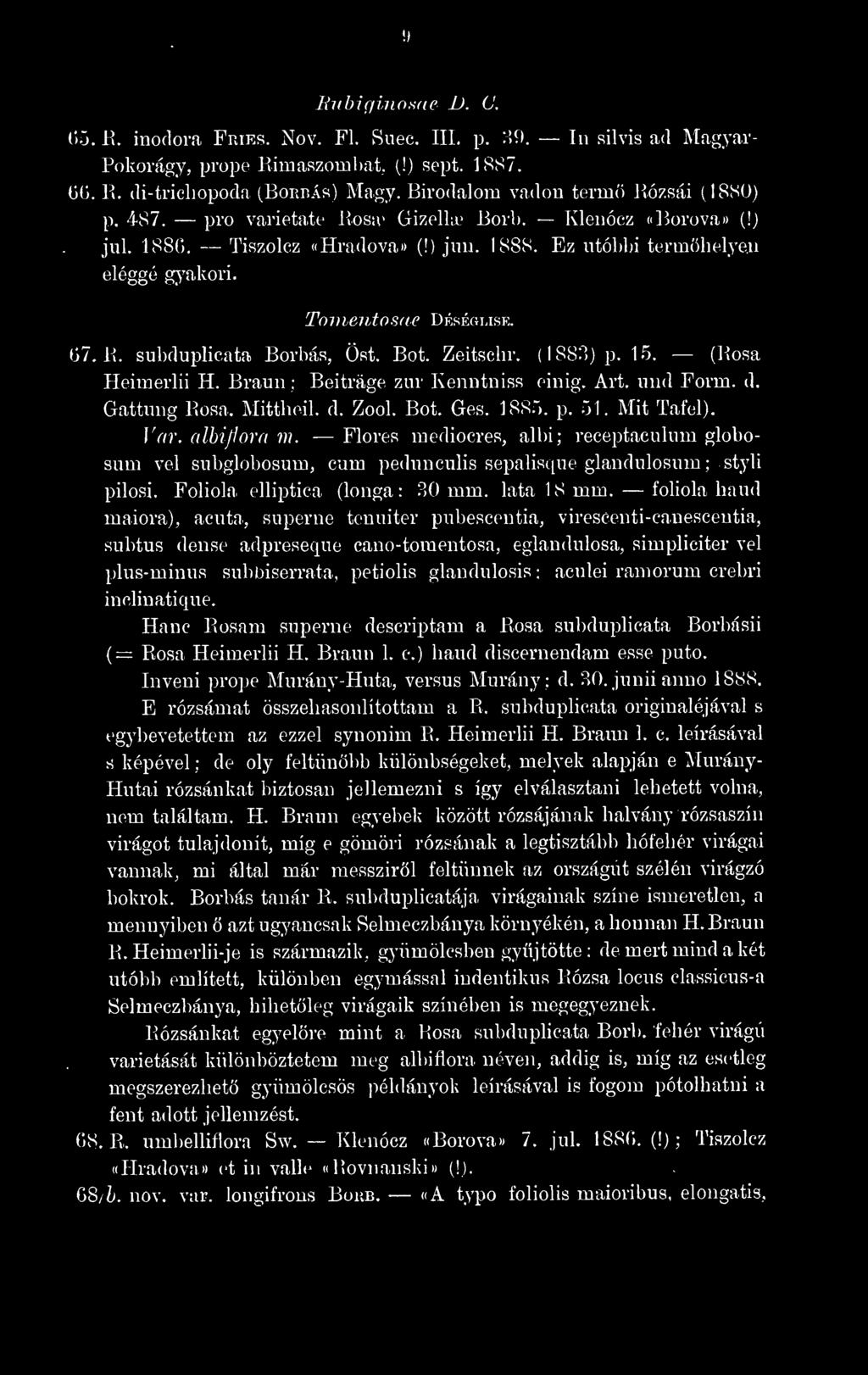 Tovientosae Déséolisb;. 67. K. subduplicata Borbás, Öst. Bot. Zeitschr. (1883) p. 15. (Kosa Heimerlii H. Braun ; Beiträge zur Kenntniss einig. Art. und Form. d. Gattung Rosa. Mittheil. d. Zool. Bot. Ges.